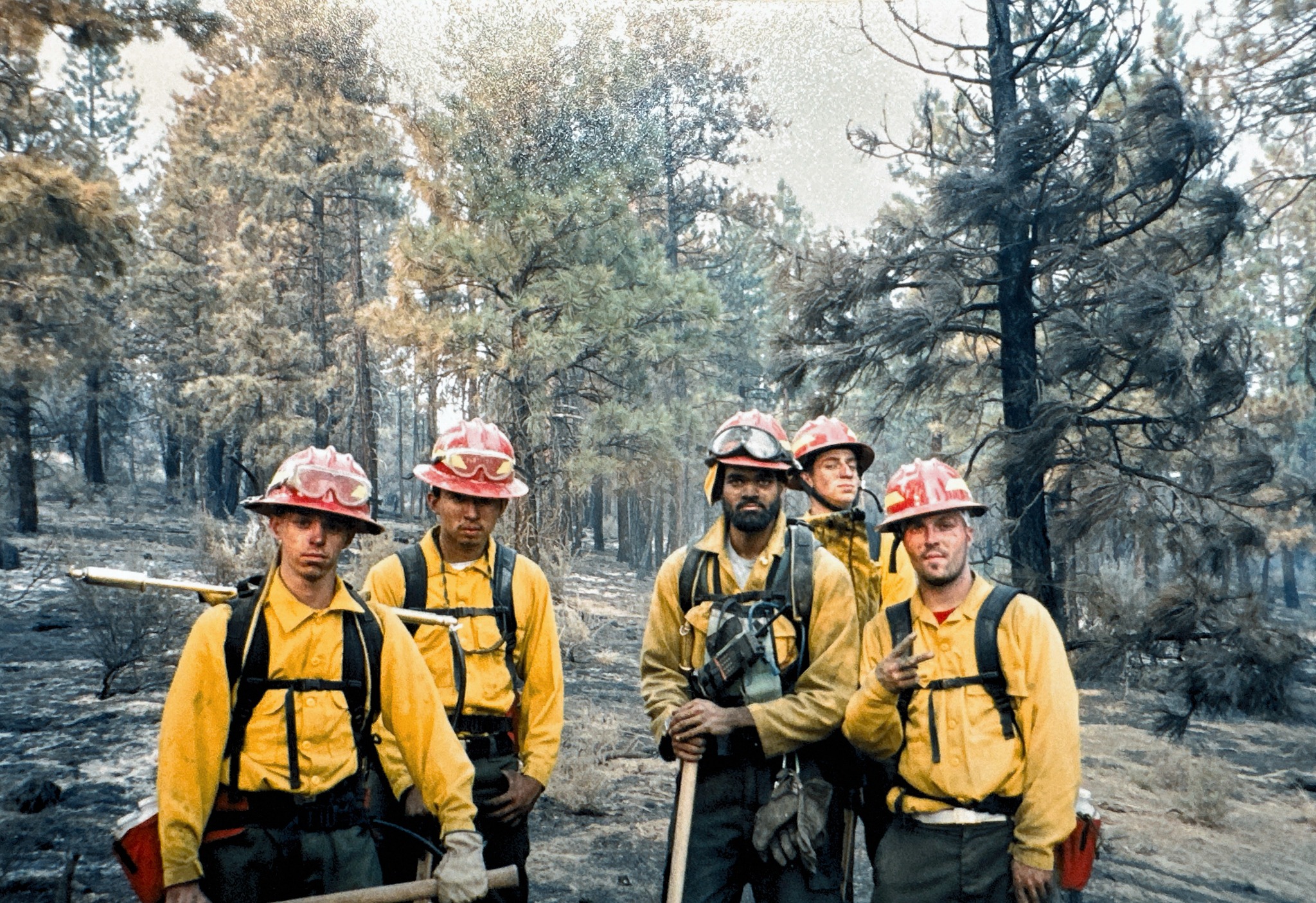 Wildland fire crew in protective equipment in a fire-affected forest